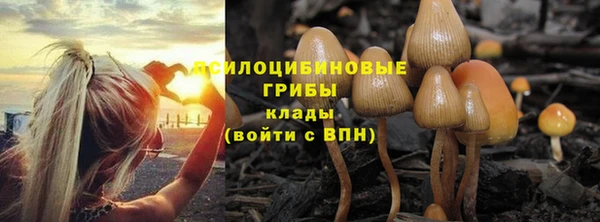 прущая мука Алзамай