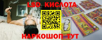 Альфа ПВП Кандалакша