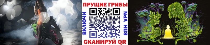 Галлюциногенные грибы Cubensis  мега зеркало  Лениногорск 