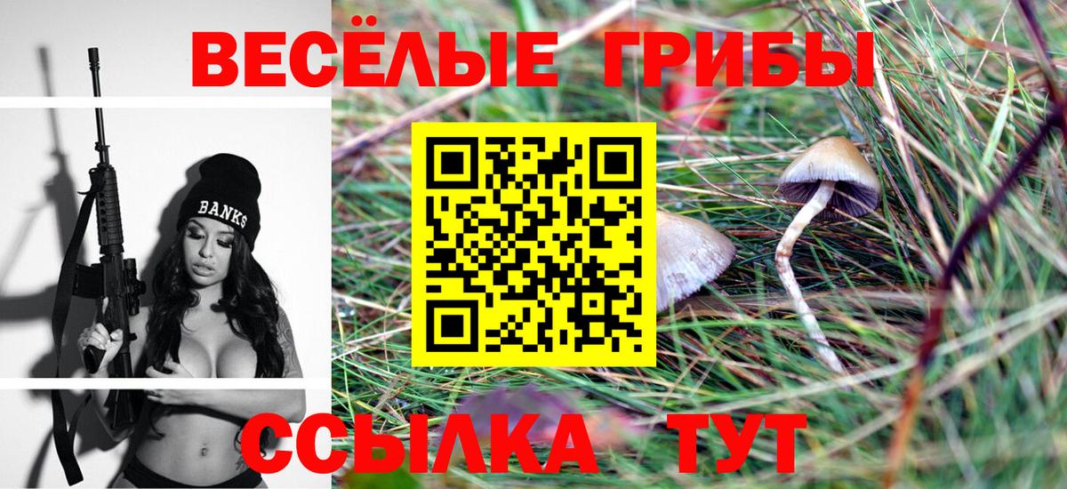 Лениногорск  Галлюциногенные грибы Psilocybe  Псилоцибиновые грибы мицелий  Вход с VPN 